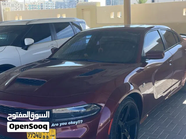 رنقات أمريكان ريسنق أصليات للبيع