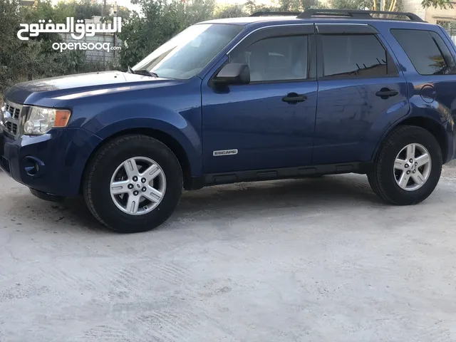 Used Ford Escape in Irbid