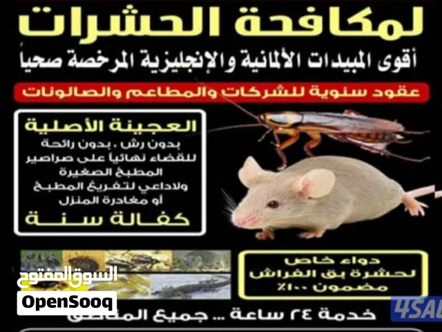 مكافحة حشرات والقوارض بق الفراش والنمل والصرصير  جميع مناطق الكويت   علي مدار اليوم 24ساعه