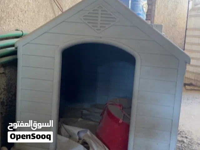 بيت حيوان خارجي