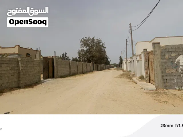 ارض . التويوه . تاجوراء