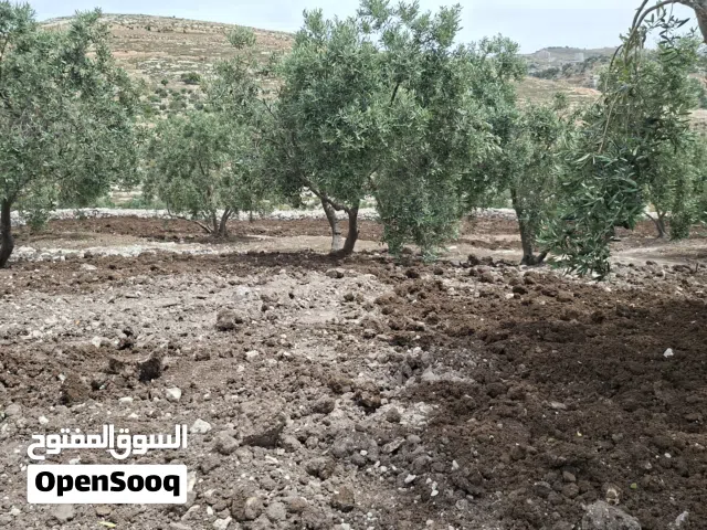 قطعة ارض مطلة على رأس جبل