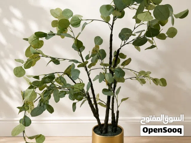 Artificial potted eucalyptus tree - medium height, gold planter