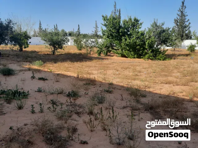 قطعة أرض 3800متر كوبري الفروسية اتجاهك المطار تاني شارع يمين