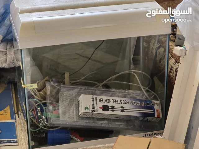 احواض اسماك زينة