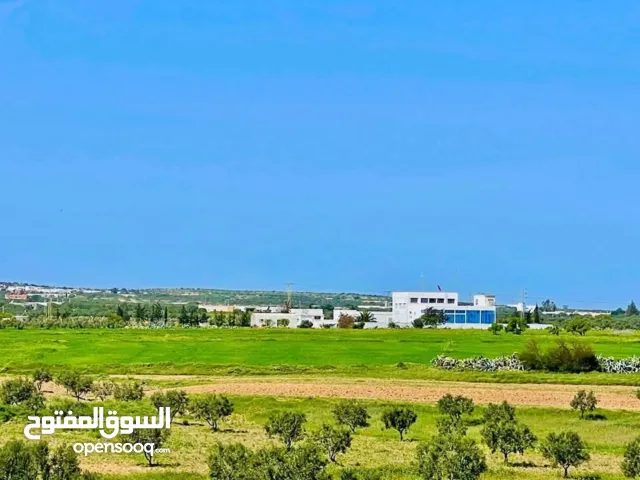 قطع أراضي في سوسة بوفيشة