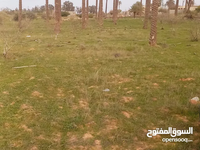 Farm Land for Sale in Tripoli Gasr Garabulli