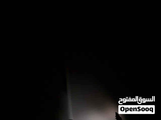 معلم دهانات جدة باكستاني