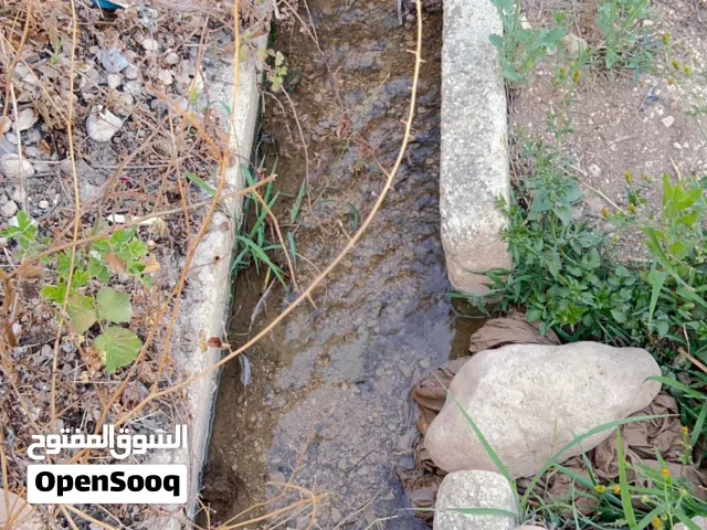 Studio Farms for Sale in Jerash Unaybah