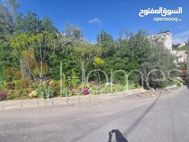 Residential Land for Sale in Amman Dabouq