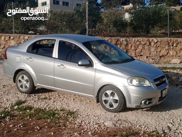 شفر افيو 2009