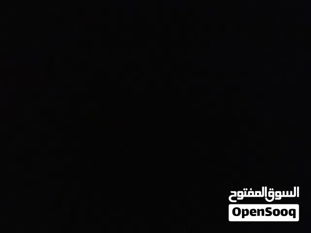 مطلوب كلب مالينوا للتبني جرو