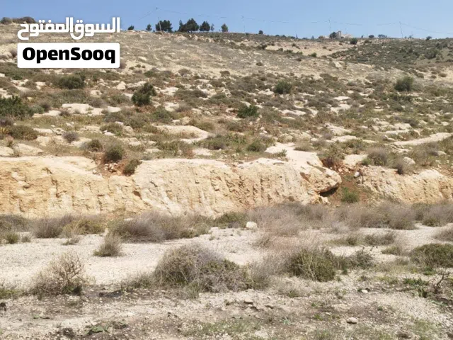 ارض بسعر مغري ( ام رمانة)