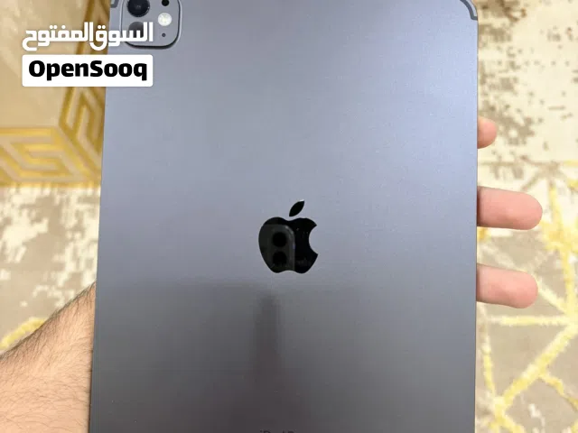 Apple iPad pro 5 256 GB in Mafraq
