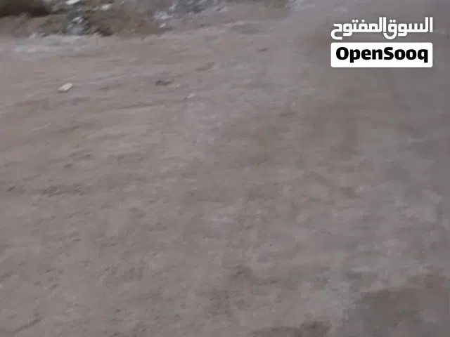قطعة ارض زراعية