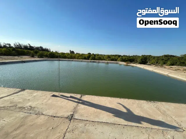 Farm Land for Sale in Ismailia Other