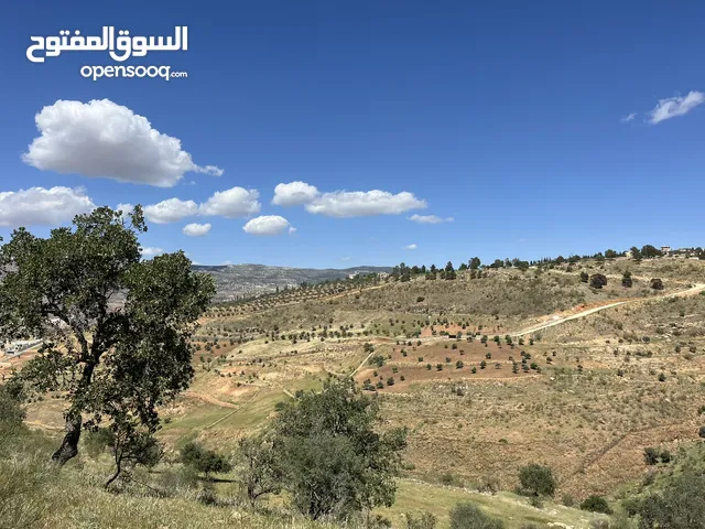 ارض للبيع في الصبيحي من المالك مباشرة منطقة مزارع