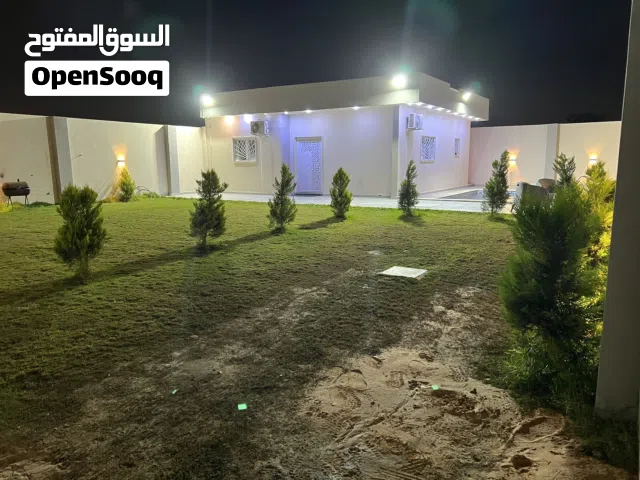 عين زارة الباعيش استرحيه الاجار اليومي شباب عايلة تلبسة سلطان