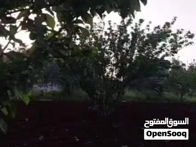 أرض للبيع في خرجا العرقوب