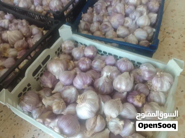 ثوم عماني  للبيع