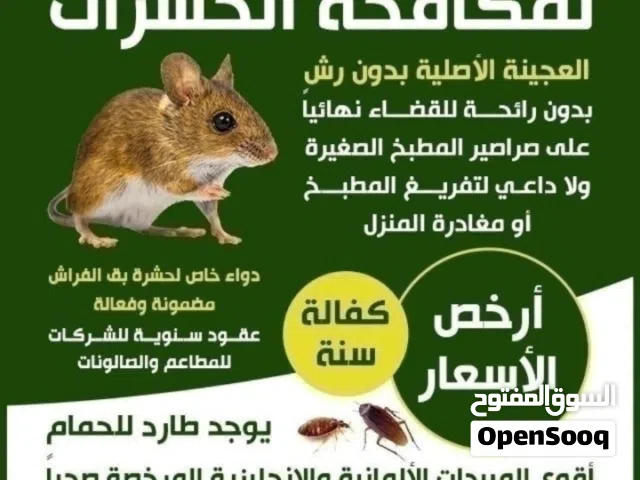 شركة رش حشرات مواد مرخصة صحيا مع الضمان
