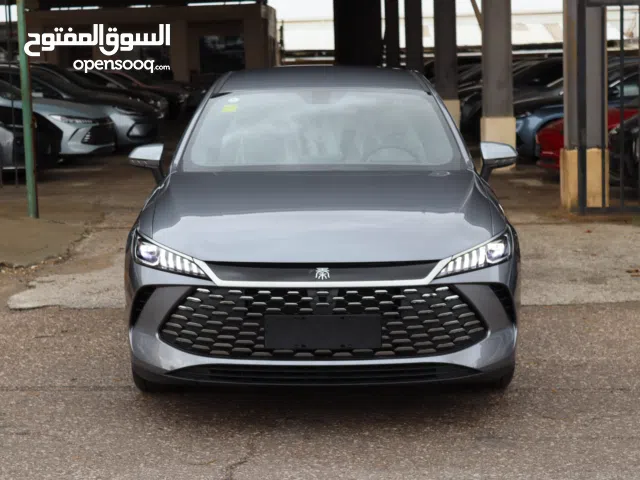 2025, بي واي دي, كين