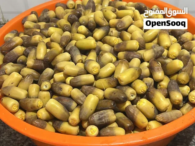 رطب نغال طازج
