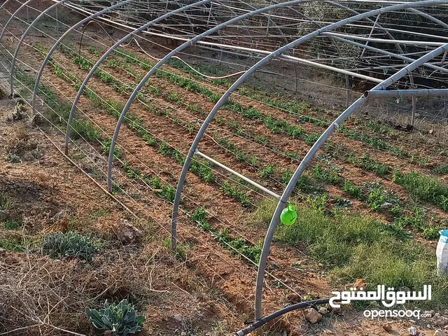 بيوت بلاستيكية للبيع