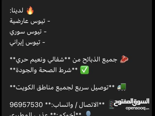 سلام عليكم لدينا جميعا أنواع الحلال بإذن الله