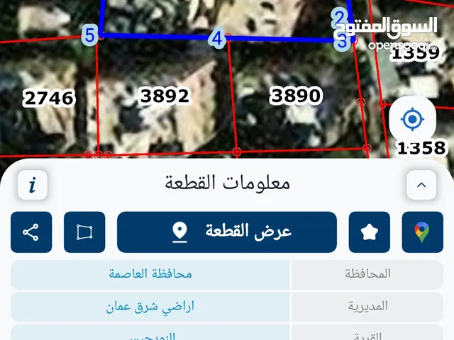 شقة للبيع - الهاشمي الشمالي/ عمان