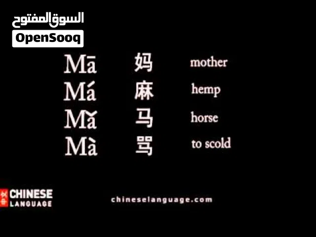 استاذ للغة الانجليزية و للغة الصينية