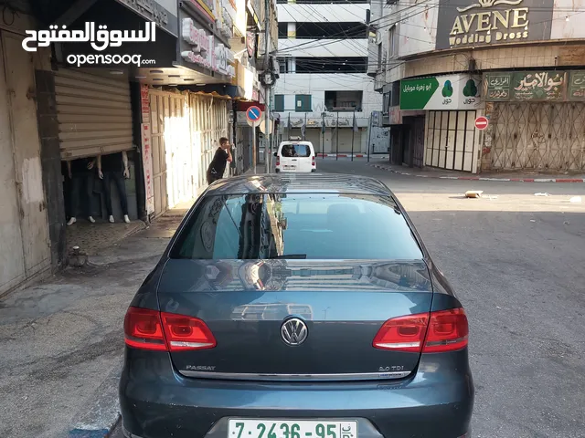 باسات 2013