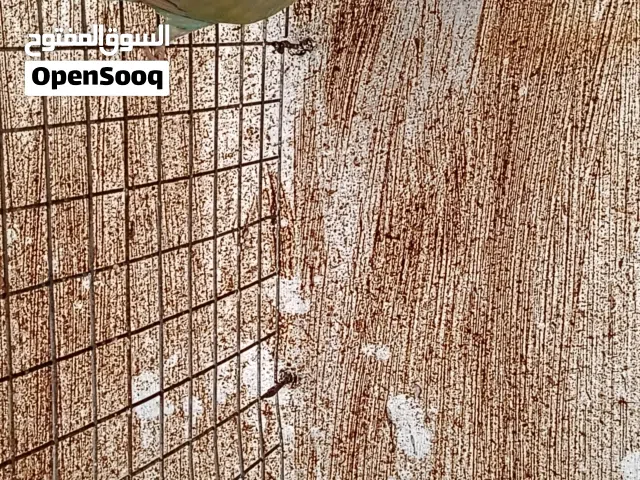 روز لي البيع