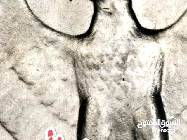 ربع دولار جورج واشنطن غلطة دبل طبع في العنق و الجناح والفخذ