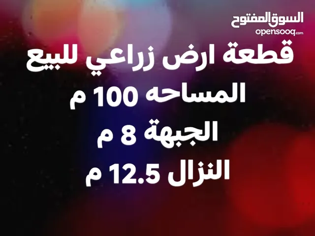 قطعة ارض زراعيه للبيع مساحه 100 متر جبهة 8 متر نزال 12.5 ابعاد كلش حلوة تصير بيت مرتب منطقة مخدومة