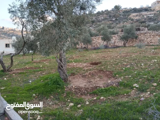 أرض للبيع بسعر مغري كثيييير