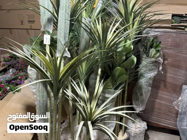 زرع صناعي ورد