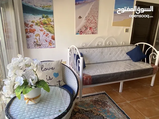 شقة مميزة مفروشة للايجار الشهري البحر الميت