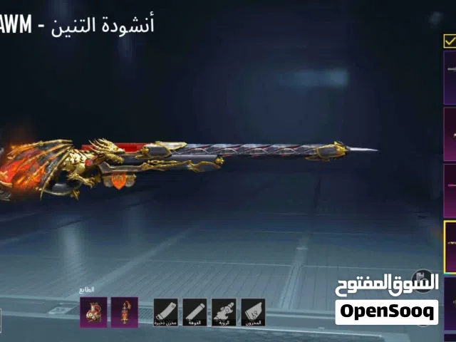 Pubg Accounts and Characters for Sale in Cairo