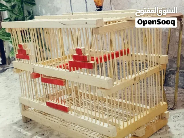 قفص جديد الوصف مهم