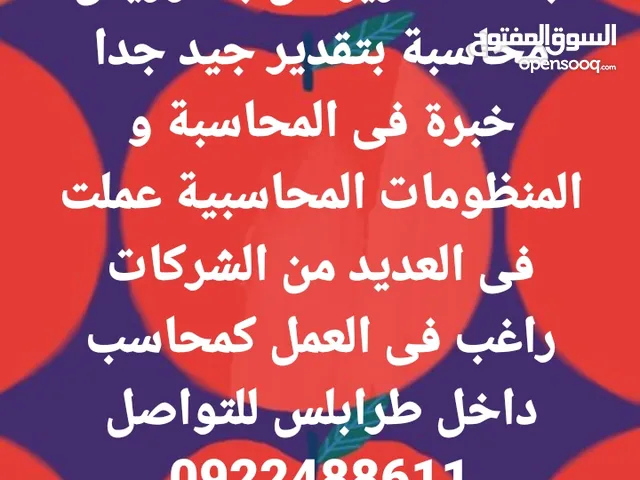 عصام محاسب سودانى خبرة
