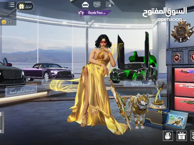 Pubg Accounts and Characters for Sale in Amman