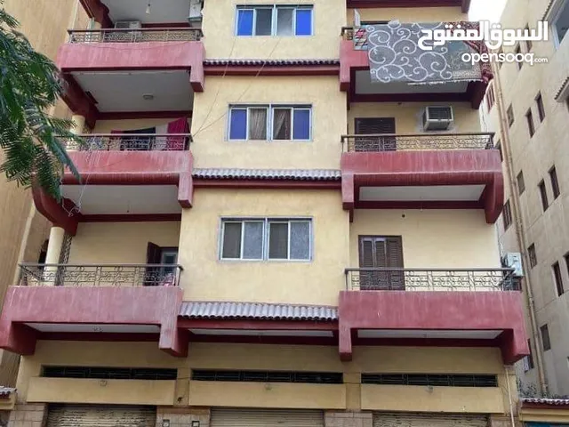 150 m2 3 Bedrooms Apartments for Rent in Ismailia Ismailia