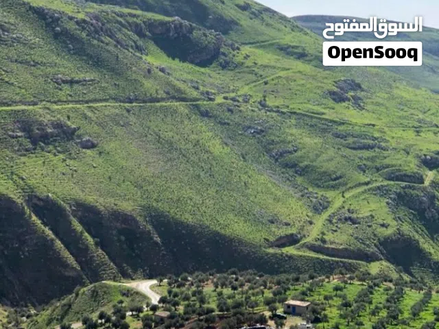 4 دونمات وادي شعيب مطلة ع جبال ماحص