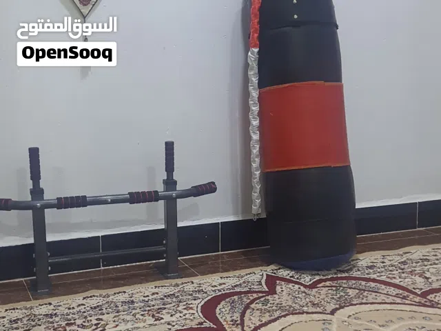 كيس ملاكمة وعقله جدارية