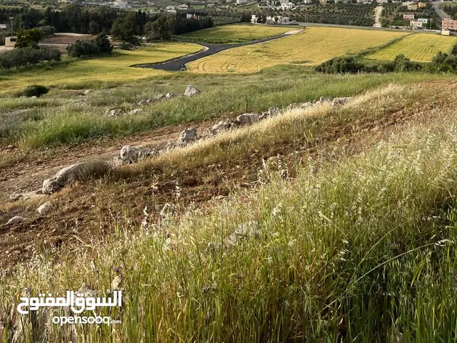 Residential Land for Sale in Amman Um al Basateen