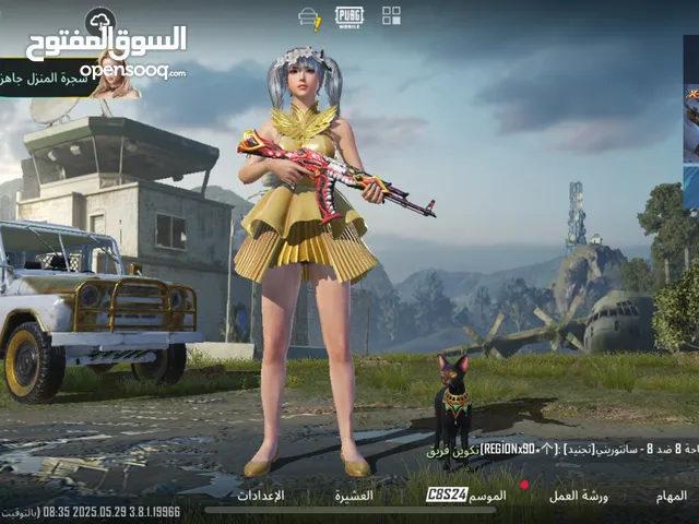 Pubg Accounts and Characters for Sale in Nablus