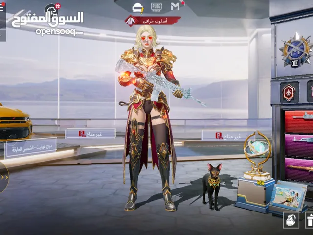 للبيع حساب ببجي العالميه فقط في عمان