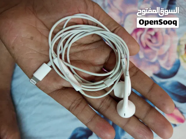 Apple original headphones