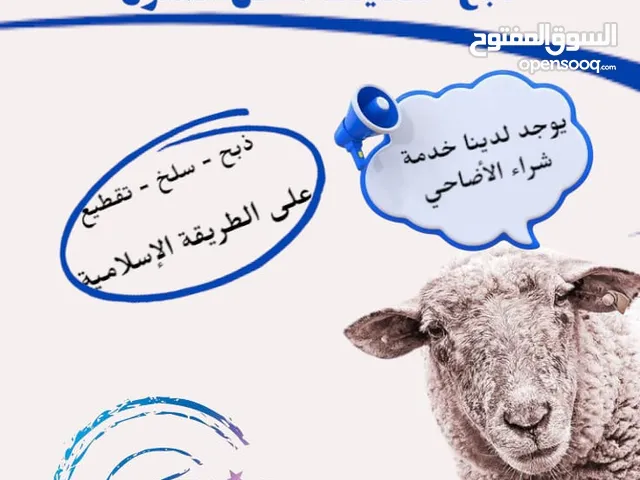 ذبح الأضاحي العيد على الطريقه الاسلاميه